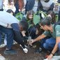 Com kits de jardinagem, estudantes plantam ipês e quaresmeiras, contribuindo para um bairro mais bonito e sustentável - Foto: Divulgação/ Prefeitura de Santos