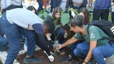 Com kits de jardinagem, estudantes plantam ipês e quaresmeiras, contribuindo para um bairro mais bonito e sustentável - Foto: Divulgação/ Prefeitura de Santos