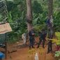 Ação faz parte de ofensiva para coibir crimes contra a fauna em áreas de preservação - Imagem: Reprodução / Polícia Ambiental