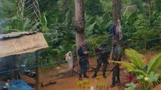 Ação faz parte de ofensiva para coibir crimes contra a fauna em áreas de preservação - Imagem: Reprodução / Polícia Ambiental