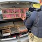 Uma fiscalização da PRF resultou no resgate de aves silvestres em condições desumanas, evidenciando o tráfico de animais na região - Foto: Divulgação/ Polícia Rodoviária Federal
