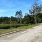 As vítimas foram localizadas em uma área de mata; polícia investiga possíveis ligações com o crime organizado na região - Foto: Reprodução