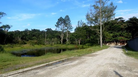 As vítimas foram localizadas em uma área de mata; polícia investiga possíveis ligações com o crime organizado na região - Foto: Reprodução