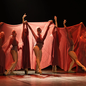Com categorias para todas as idades, o evento inclui estilos como balé, jazz e danças urbanas, celebrando a diversidade da dança - Foto: Reprodução