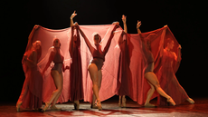 Com categorias para todas as idades, o evento inclui estilos como balé, jazz e danças urbanas, celebrando a diversidade da dança - Foto: Reprodução