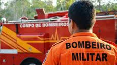 Ação dos bombeiros e a colaboração da CPFL foram essenciais para controlar o incêndio e garantir a segurança da área - Foto: Divulgação/ Corpo de Bombeiros