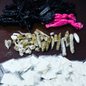 A operação resultou na apreensão de porções de entorpecentes prontas para venda e na prisão de um homem em Itanhaém - Foto: Divulgação/ 29° BPMI