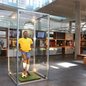 Convênio prevê apoio técnico do município na catalogação de itens da entidade e ampla divulgação turística internacional - Imagem: Divulgação / Prefeitura de Santos
