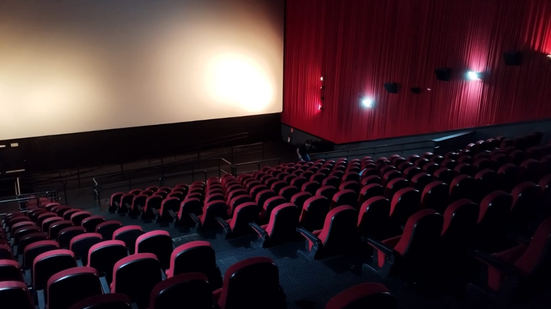 Com exibições simultâneas em Santos e São Vicente, o Cine Roxy promete transformar o jogo em um evento social e cultural inesquecível - Foto: Reprodução