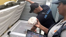 Além das padarias, a operação fiscalizou bebidas, tabaco e a procedência do gelo utilizado em alimentos e bebidas - Imagem: Divulgação / Prefeitura de Guarujá