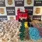 Com a apreensão de 10.891 pedras de crack, a operação revela a gravidade do tráfico na região do Parque Bitaru - Foto: Divulgação/ Polícia Civil