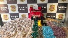 Com a apreensão de 10.891 pedras de crack, a operação revela a gravidade do tráfico na região do Parque Bitaru - Foto: Divulgação/ Polícia Civil
