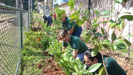Parceria entre comunidade, Ouvidoria e Semam introduziu árvores frutíferas para combater o entulho crônico e ocupações irregulares na divisa - Foto: Divulgação/ Prefeitura de Santos