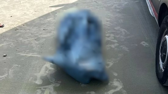 Banhista desapareceu em área de risco conhecida como Toca do Tubarão; buscas foram realizadas por guarda-vidas e bombeiros - Foto: Reprodução/ Guarujá Mil Grau