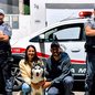 Após escapar de um hotel para pets, o cão foi encontrado em um condomínio, trazendo alívio para a dona que buscava apoio da PM - Foto: Divulgação/ 14° BPMI