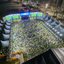 Milhares de torcedores se reúnem na Arena Torcida PG+ para assistir à estreia da Seleção Brasileira na Copa do Mundo de 2026 - Foto: Divulgação/ Prefeitura de Praia Grande