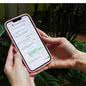São Vicente lança assistente de IA via WhatsApp para ajudar professores a criarem planos de aula - Imagem: Divulgação