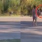 Motorista intervém e salva casal de espancamento durante assalto em Peruíbe - Imagem: Reprodução