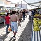Prefeitura de São Vicente muda tamanho de feira livre para liberar trânsito e acesso à maternidade - Foto: Alexsander Ferraz