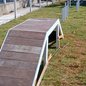 Zona Noroeste ganha primeiro espaço pet com piscina e pista de obstáculos em julho - Imagem: Divulgação