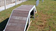 Zona Noroeste ganha primeiro espaço pet com piscina e pista de obstáculos em julho - Imagem: Divulgação