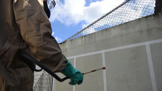 A nova técnica BR-Aedes será aplicada em escolas e postos de saúde, visando reduzir a proliferação do mosquito transmissor - Foto: Divulgação/ Prefeitura de Praia Grande