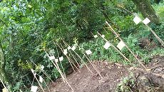 O Parque Jundu será um espaço de preservação ambiental e educação, com foco na vegetação de restinga e pesquisa científica na região - Foto: Divulgação/ Prefeitura de Santos