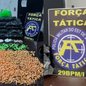 Policiais militares apreendem mais de 1,7 kg de cocaína e 64 pedras de crack durante operação no litoral sul - Foto: Divulgação/ 29° BPMI