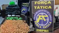 Policiais militares apreendem mais de 1,7 kg de cocaína e 64 pedras de crack durante operação no litoral sul - Foto: Divulgação/ 29° BPMI