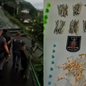Operação de saturação na Zona Noroeste de Santos leva à prisão de dois homens e apreensão de drogas e dinheiro - Foto: Divulgação/ 6° BPMI