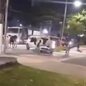 Gado invade avenida no Guarujá e surpreende motoristas no aniversário da cidade - Imagem: Divulgação