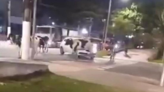 Gado invade avenida no Guarujá e surpreende motoristas no aniversário da cidade - Imagem: Divulgação