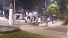 Gado invade avenida no Guarujá e surpreende motoristas no aniversário da cidade - Imagem: Divulgação