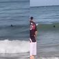 Ave jovem se perde em rota migratória e é resgatada por biólogos em praia de Guarujá - Imagem: Divulgação