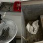 Com freezer de cadáveres enferrujado e falta de água, clínica veterinária é lacrada em Mongaguá - Imagem: Divulgação