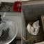 Com freezer de cadáveres enferrujado e falta de água, clínica veterinária é lacrada em Mongaguá - Imagem: Divulgação