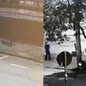 Câmeras flagram perseguição de acusado de feminicídio contra funcionária de shopping no litoral de SP - Imagem: Divulgação