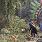 A força-tarefa no Morro dos Barbosas é parte de um planejamento de prevenção de riscos para evitar deslizamentos durante chuvas intensas - Foto: Divulgação/ Prefeitura de Praia Grande