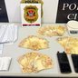 Operação policial resultou em apreensões significativas e inquérito aberto para investigar tráfico de drogas - Imagem: Divulgação