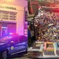 Foto: Divulgação/ Guarda Municipal Civil de São Vicente