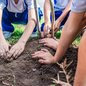 Alinhada ao Decreto Municipal nº 5.234/2026, publicação prioriza vegetação nativa para expandir o verde e proteger a biodiversidade local - Foto: Divulgação/ Prefeitura de Bertioga
