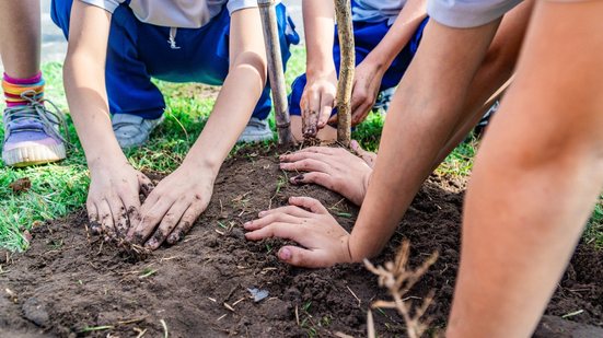 Alinhada ao Decreto Municipal nº 5.234/2026, publicação prioriza vegetação nativa para expandir o verde e proteger a biodiversidade local - Foto: Divulgação/ Prefeitura de Bertioga
