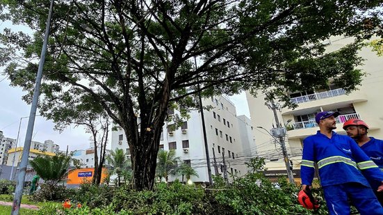 A operação de poda e manutenção arbórea segue até a próxima semana, com etapas programadas para diferentes trechos - Foto: Divulgação/ Prefeitura de Guarujá