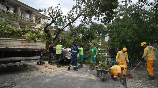Prefeitura de Santos mobiliza mais de 200 profissionais para desobstruir vias e reparar danos após vendaval de 111,8 km/h - Foto: Divulgação/ Prefeitura de Santos
