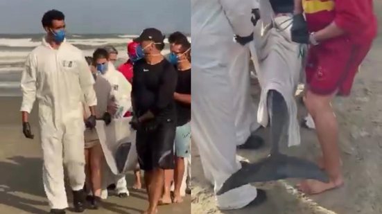 Banhistas e guarda-vidas resgatam golfinho encalhado na praia da Aviação, em Praia Grande - Imagem: Divulgação