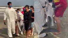 Banhistas e guarda-vidas resgatam golfinho encalhado na praia da Aviação, em Praia Grande - Imagem: Divulgação