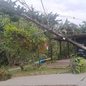 Rajadas de vento em Cubatão provocam bloqueios e danos estruturais, mas não há feridos registrados - Foto: Divulgação/ Prefeitura de Cubatão