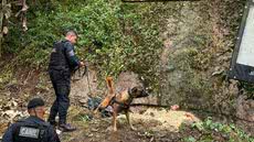 A simulação incluiu isolamento de área, buscas e primeiros socorros, destacando a importância da integração entre órgãos em desastres - Foto: Divulgação/ Prefeitura de São Vicente