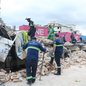 Mutirão com 160 profissionais recupera ruas e remove árvores caídas em Santos - Foto: Raimundo Rosa
