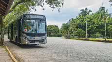 Bertioga amplia linhas de ônibus sem reajuste na tarifa de R$ 5,50; veja as mudanças - Imagem: Divulgação